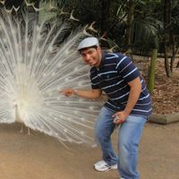 abdullah Alahmadi's Photo