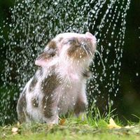 Serena Venier's Photo