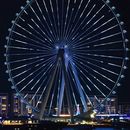 Language And Culture Exchange 's picture