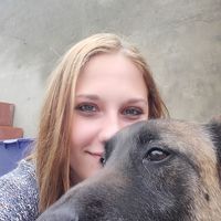 Alicia De Smet's Photo