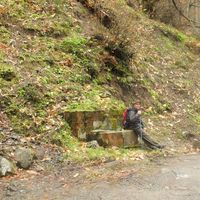 Erdal Taşkın Pehlivan's Photo