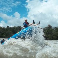 Will Schippert's Photo