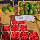 Foto do evento Santanyí Market