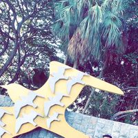 Qusai Saeed的照片