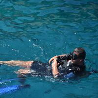 Ozgur Ali AVCIL的照片