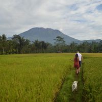 Fotos de Bobby Nyquist