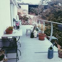 Angélique Rollier的照片