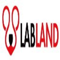 labradoodle mix的照片