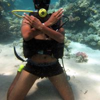 Mitesh  Soni的照片