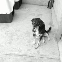 Jose Mayo Vidal's Photo