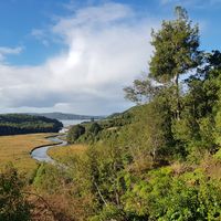 Viviana Trova Brito的照片