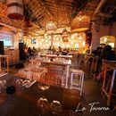 Don’t Stop The Polyglot Sat Night Fever!🔥💃🕺's picture