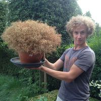 Max Van Laere的照片