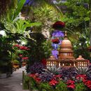 фотография Holiday Evening at the Botanical Gardens