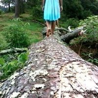 მახარობელი ვარსკვლავი的照片