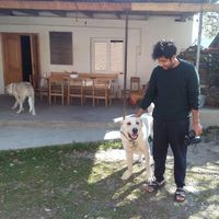 Nikhilesh Dev的照片