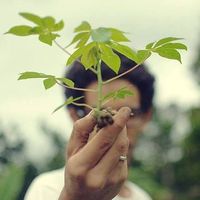 João Loreto's Photo