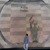 Ferhat Çakar的照片