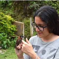 Valentina Cárdenas's Photo