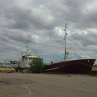 Zaria Amin-Enemark的照片