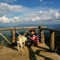 Rachel Weiyi's Photo