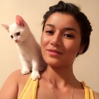 Dina Navruzova's Photo