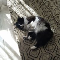 Miguel Bogota的照片