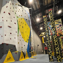 🧗‍♂️ Indoor Rock Climbing Meetup at Jump Up! 🧗‍♀'s picture