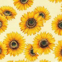 Gene Hernández's Photo