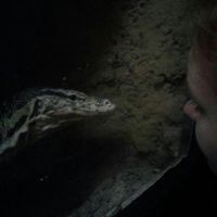 Karolina Pietrzycka的照片