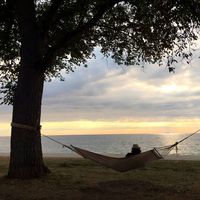 Pi Phatcharasophon's Photo