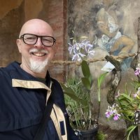 Fotos de Cosimo Concilio