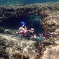 Βάσος Ιωάννου的照片