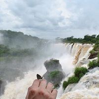 Gabriela Santos's Photo