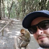 Jacob Jacob的照片