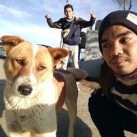 Indra Jaya Kusuma's Photo