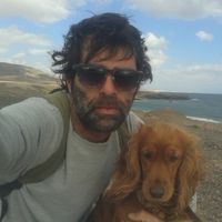 ferdinando bellini's Photo