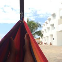 Фотографии пользователя Ricardo  Nuñez Barraza