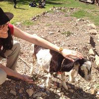 Carolina Azuero's Photo