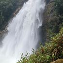 Salto del buey's picture