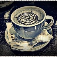 Fotos von Blake Nussbaumer