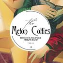 THE MELON COLLIES - Smashing Pumpkins Tribute's picture