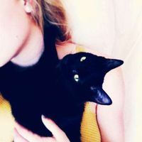 Fotos de Kathryn Cooper