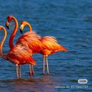 Viajes de Mérida's picture