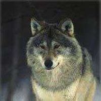 Christoffer Simensen's Photo