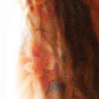 Shax Krisanovski's Photo