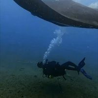 Ronald Andres Mero.'s Photo