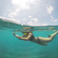 Alyssa Nelson的照片