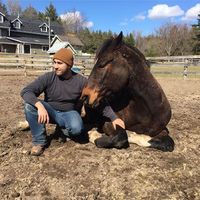 Mostafa Baghdadi的照片