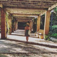 Patricia Gavin's Photo